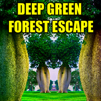 YalGames Deep Green Forest Escape